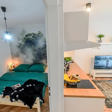 Swietokrzyska Апартаменты Лешно