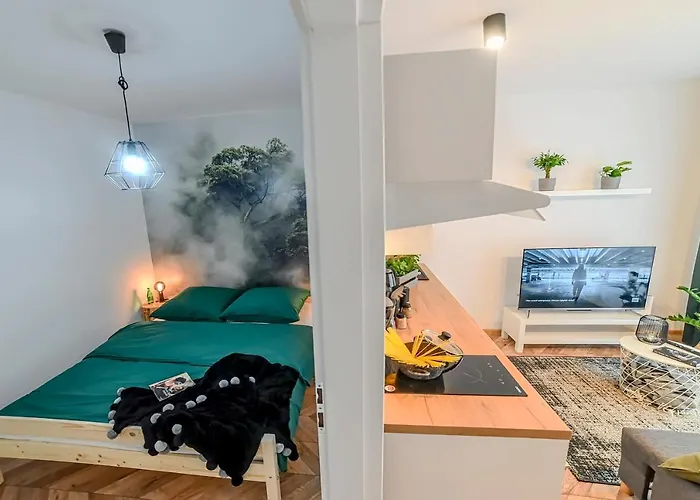 Swietokrzyska Апартаменты Лешно